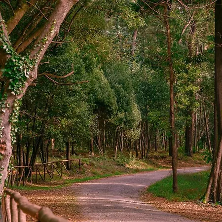 Buarcos Sunset By Rent4all