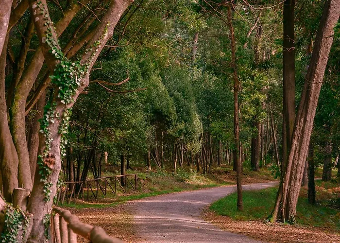 Buarcos Sunset By Rent4all